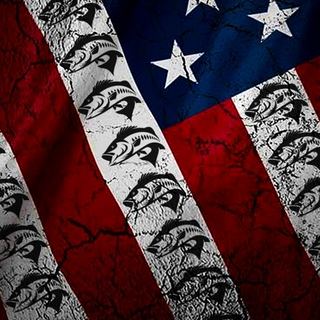 Bass iPhone wallpaper