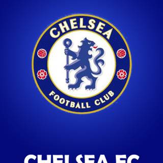 Leicester City phone wallpaper