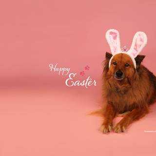Easter pet wallpaper