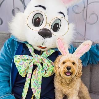 Easter pet wallpaper