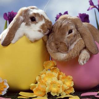 Happy Easter animal wallpaper