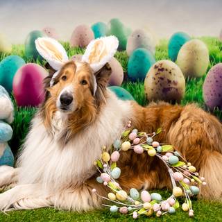 Happy Easter animal wallpaper