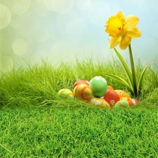 Easter portrait wallpaper