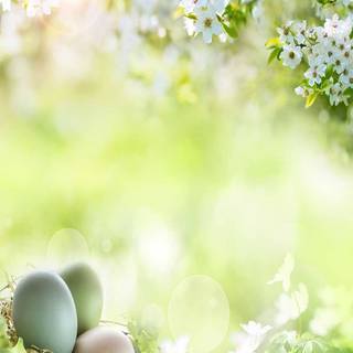 Easter portrait wallpaper