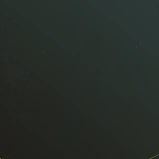 Yellow flowers and ladybug wallpaper