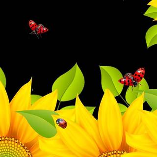 Yellow flowers and ladybug wallpaper