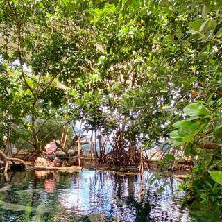 Earth Day 2023 wallpaper