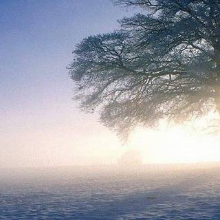 Morning calm HD wallpaper