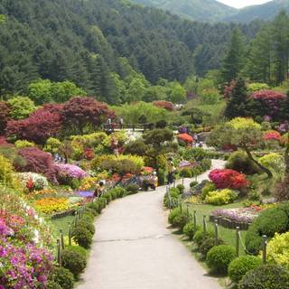 Morning calm HD wallpaper