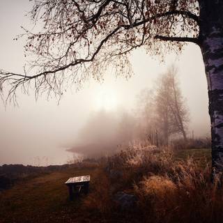 Morning calm HD wallpaper