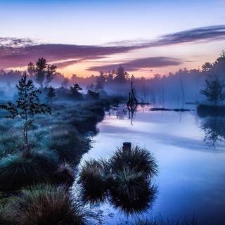Morning calm HD wallpaper