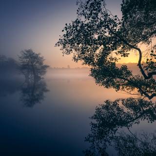 Morning calm HD wallpaper