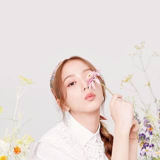 Flower Jisoo wallpaper