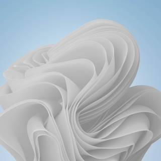 Windows 11 white wallpaper