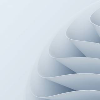 Windows 11 white wallpaper