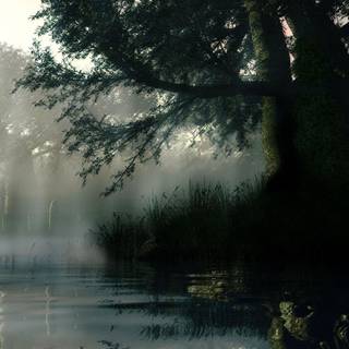 Spring rain fog wallpaper