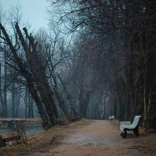 Spring rain fog wallpaper