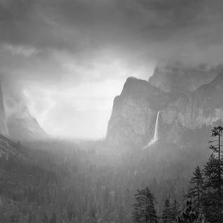 Spring rain fog wallpaper