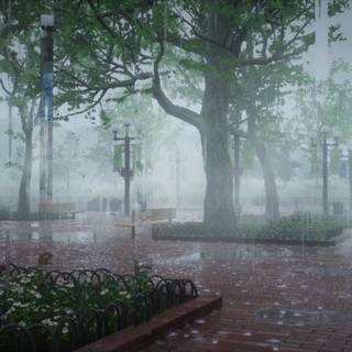 Spring rain fog wallpaper
