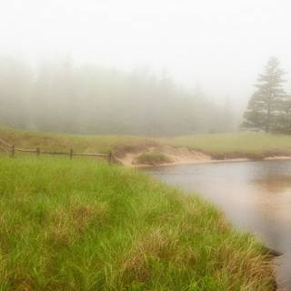 Spring rain fog wallpaper