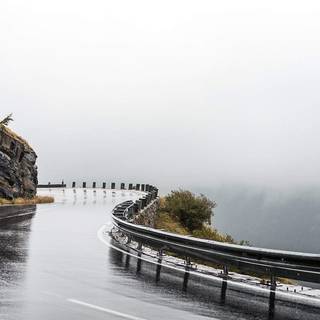 Spring rain fog wallpaper