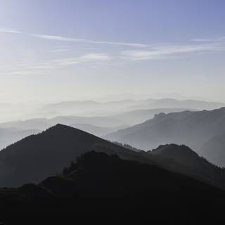 Spring rain fog wallpaper