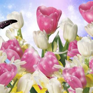 Colorful spring flowers wallpaper