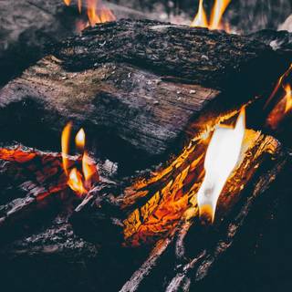 Campfire spring wallpaper