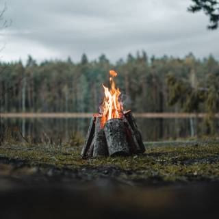 Campfire spring wallpaper