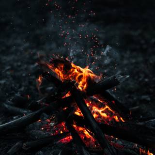 Campfire spring wallpaper