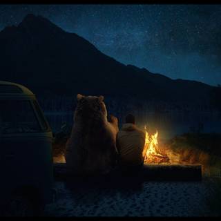 Campfire spring wallpaper