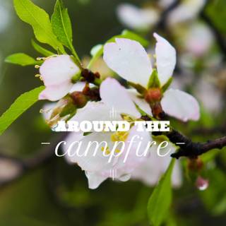 Camp fire spring wallpaper