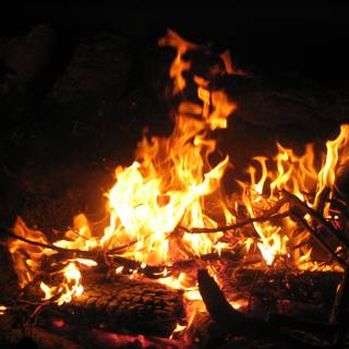 Campfire spring wallpaper