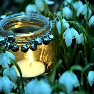 Campfire spring wallpaper