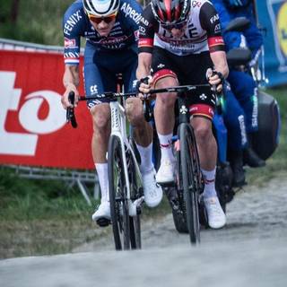 Mathieu van der Poel wallpaper