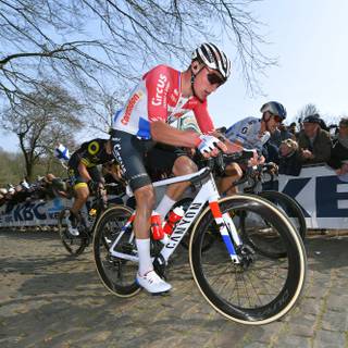 Mathieu van der Poel wallpaper