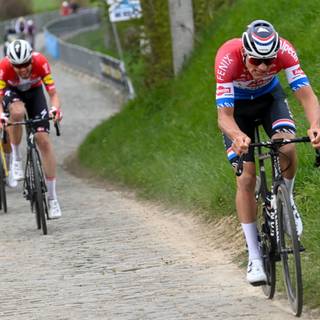 Mathieu van der Poel wallpaper