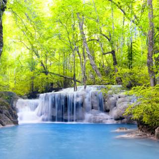 Forest spring water 4k wallpaper