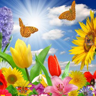 Light spring colour flower wallpaper