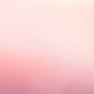 Pretty spring colors wallpaper