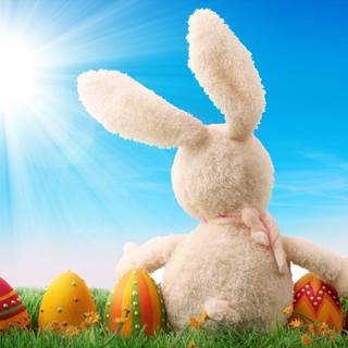Easter bunny desktop wallpaper