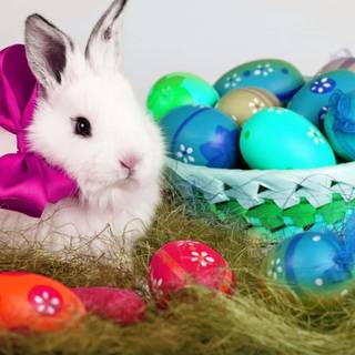 Easter bunny desktop wallpaper