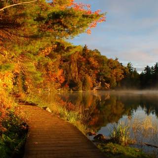 Summer pathway wallpaper