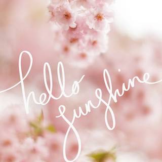 Cute spring Ultra HD wallpaper