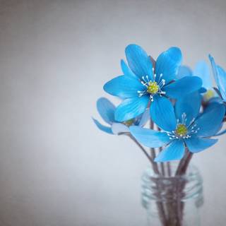 Cute spring Ultra HD wallpaper