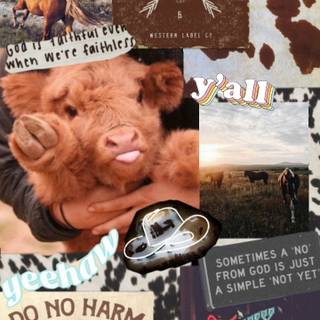 Summer cowgirl wallpaper