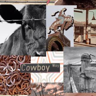 Summer cowgirl wallpaper