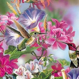 Spring hummingbird flowers wallpaper
