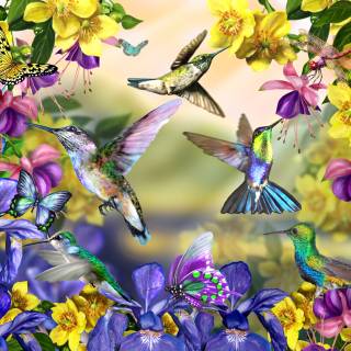 Spring hummingbird flowers wallpaper