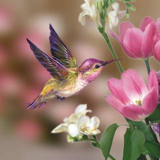 Spring hummingbird flowers wallpaper